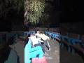 aii giri nandini #foryou #shorts #maakali #maadurga #shorts #mahadev #viralvideo #headless
