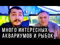 Много аквариумов и красивых экзотических аквариумных рыбок в одном месте!