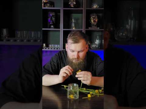 готовим настойку из одуванчиков #cocktail #обзор #бар #рецепты #бармен #коктель #пиво #кофе #еда