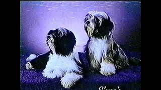 Puppy Puzzle - The Hastings Approach to Evaluating the Structural Quality of Puppies screenshot 5