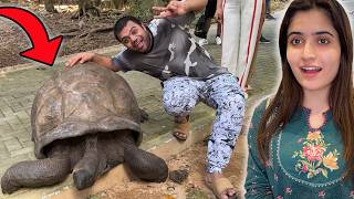 Giant Turtle Mil Gaya 😱 | Indian Brother Ne Lift De Di 😍