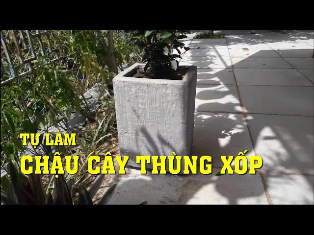 Các bước cơ bản để làm chậu xi măng từ xốp