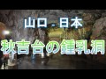 秋芳洞 日本最大規模の鍾乳洞 大自然に感動 山口県美祢市、日本 Yamaguchi025