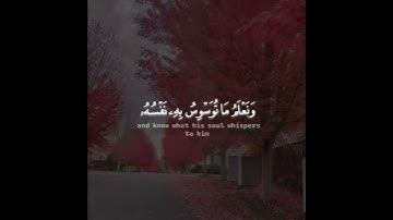 القارئ طارق محمد سورة (ق)