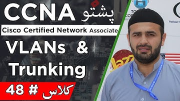 VLANs and Trunking in Pashto | Complete CCNA Enterprise 200-301 Pashto Tutorial 48