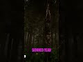 Mysterious Forest Discoveries: Unveiling Strange Hanging Skins