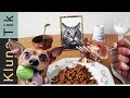 EATING ANIMAL FOOD!! |#29 KLUNATIK COMPILATION    ASMR eating sounds no talk