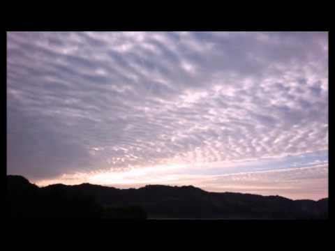 あれから君は 中村章三 Youtube あれから君は 中村章三 Youtube