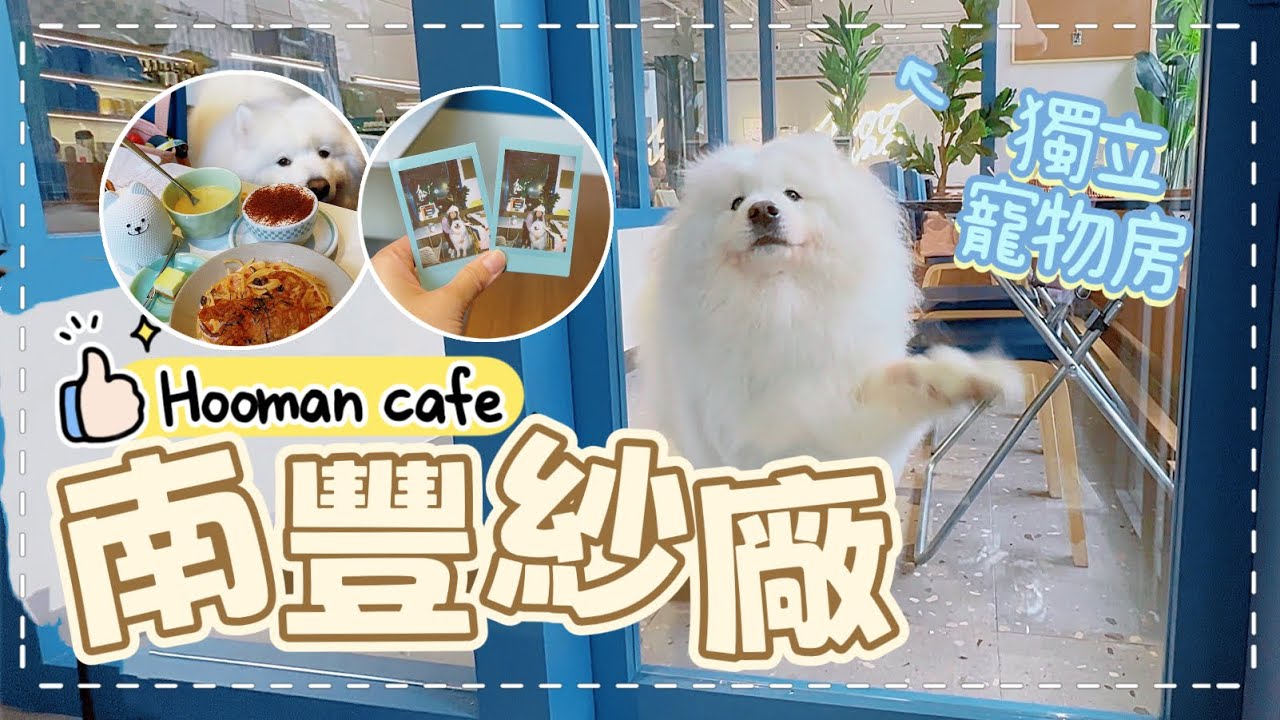 【南豐紗廠】設有獨立寵物房👍，2026年新開幕的寵物友善餐廳，狗狗們的新飯堂｜西摩Tako｜@big_dog_channel 