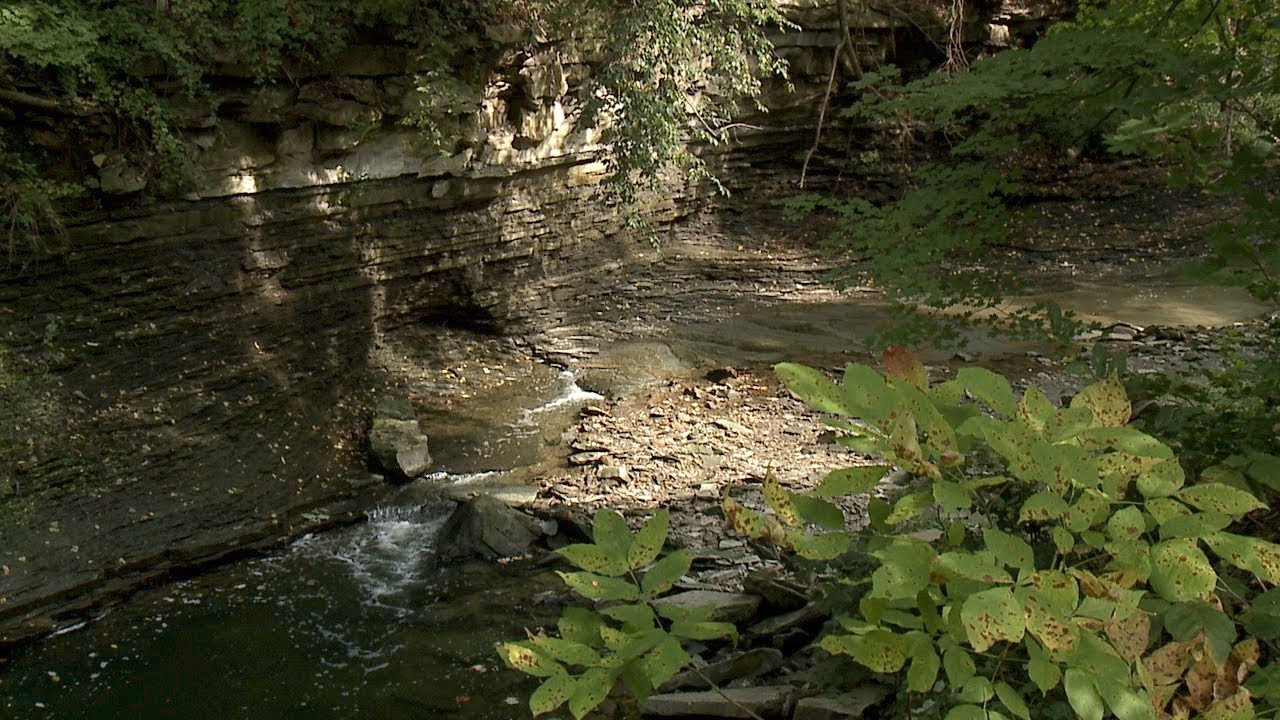 Euclid Creek Reservation - Cleveland Metroparks