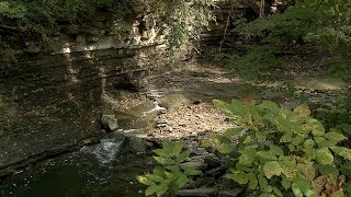 Euclid Creek Reservation - Cleveland Metroparks