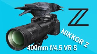 Nikon NIKKOR Z 400mm f/4.5 VR S Lens | Full Review with Photo and Video Examples