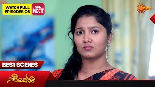 Celebrity Sevanthi - Best Scenes | Full EP free on SUN NXT | 06 April 2023 | Kannada Serial | Udaya TV Net Worth