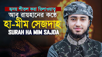 Surah Fussilat Ha Mim As Sajdah || Heart touching Quran سورة فصلت Qari Abu Rayhan