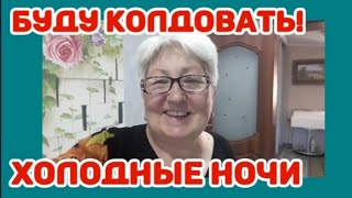 13 -14 мая. Подготовила  место под помидоры. #Теплицаизполикарбоната. Курятник утонул.