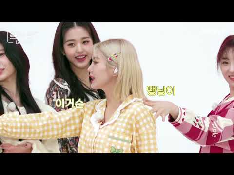 땡모X권냥이