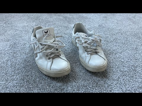 Veja Sneaker Review
