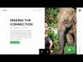 Building A Website Header In Webflow | Animal Conservation UI | WebDev For You