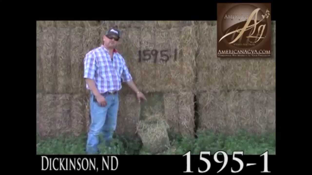 Looking to BUY or SELL HAY? American Ag Video Auction - Lot 1595-1, Hay Video Auctions