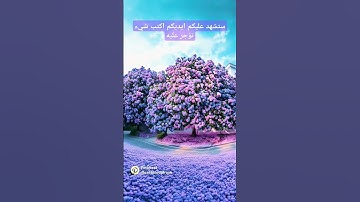 فواتح سوره الملك بصوت القارئ الشيخ فارس عباد #اكسبلور #اكسبلورفولو #اكسبلورر #فولو