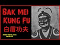 BAK MEI PAI KUNG FU