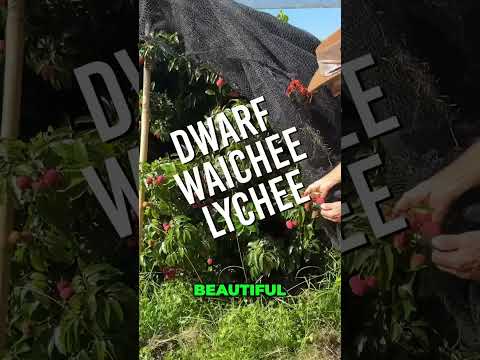 Secrets to Growing