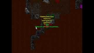 Tibia: The Old Widow