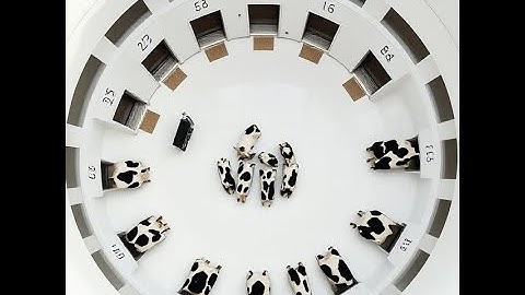 USACO BRONZE Simulation: Circular Barn