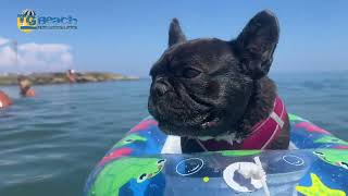 Spiaggia Di Pippo A Ceriale