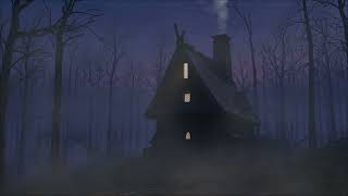 Old Love Still Echoes Warm Night in the Forest Ambience