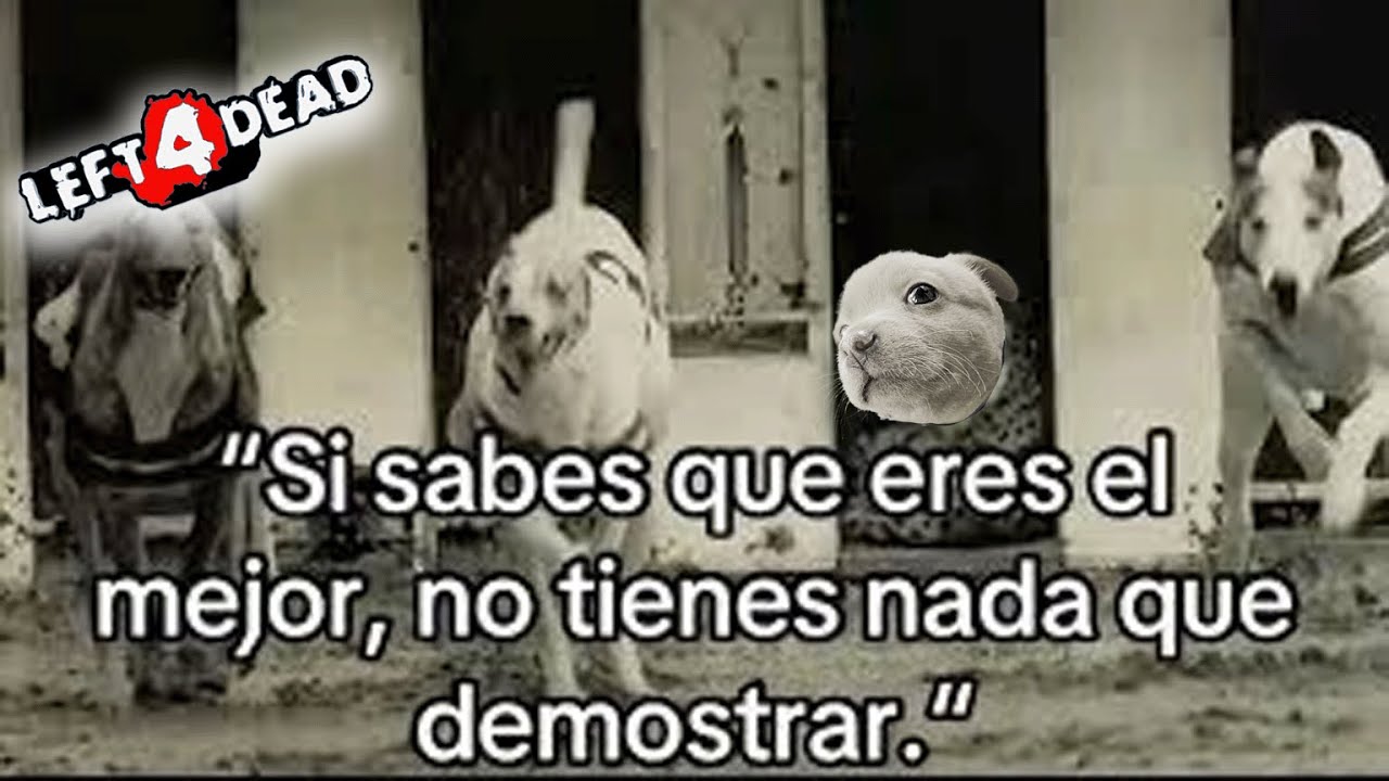 PERO TODO DEPENDE en LA MANERA en la que EL VIENTO PUEDA VOLAR...! | JUGANDO con SUBS 😲