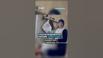 В России продолжается операция “Нелегал-2024”