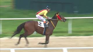 Vidéo de la course PMU PREMIO ZARAGOZA