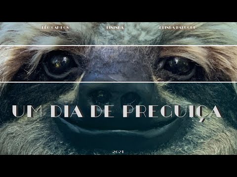 Thumbnail do vídeo