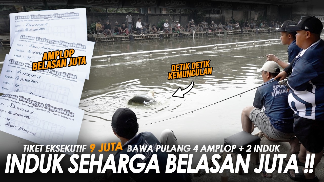 UMPAN BOTAK JADI JUARA BABON TERBERAT LAGI !! SIKAT 4 AMPLOP BAWA PULANG BELASAN JUTA || Am#686