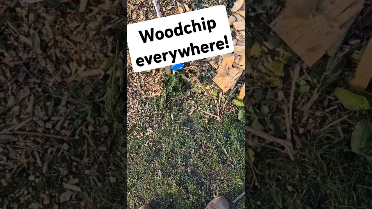 We have so much woodchip! Take a tour of the allotment with me. 