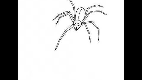 Spider Walk Cycle Animation