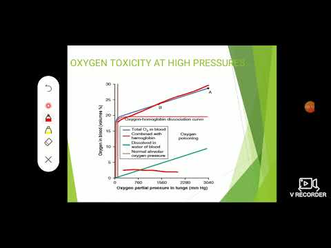 Physiology of Deep Sea - YouTube