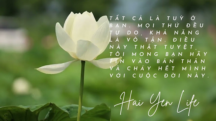 Điều kỳ diệu của tiệm tạp hóa namiya trích dẫn năm 2024