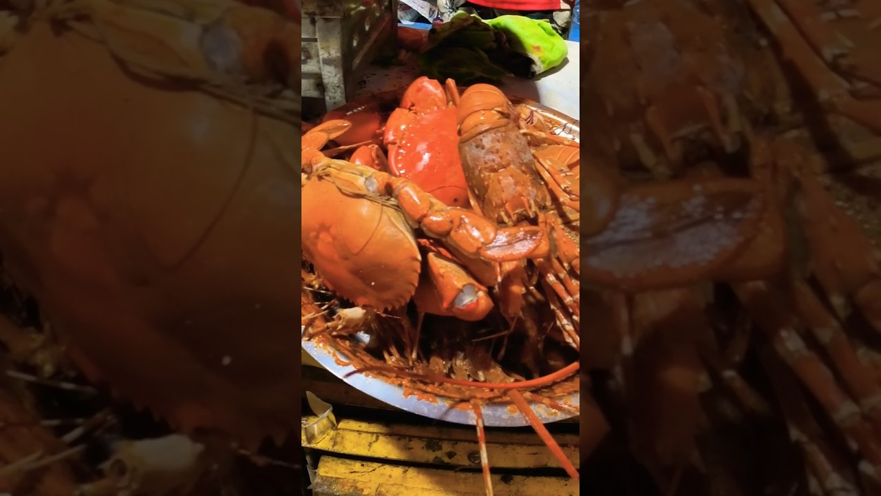 Versova Sea food festival 2025 | Mumbai Koli Sea  food festival 2025 | कोळी महोत्सव वेसावे मुंबई