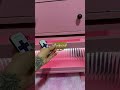 LED nightstand deals for you days deals!!! #nightstand #dealsforyoudays #tiktokshopcreatorpicks