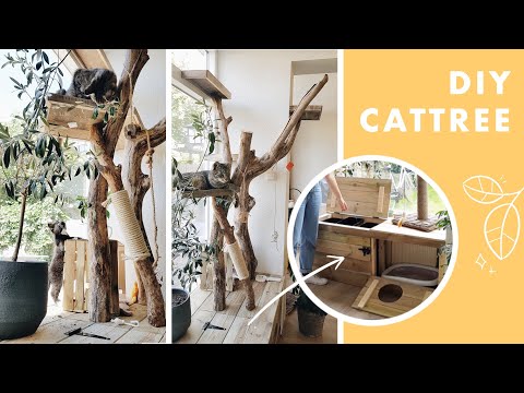 Video: Gids voor het maken van een Cat's Highway en Tree Fit voor een Maine Coon