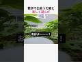 散歩で出会った猫と楽しく遊んだw