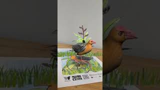 Augmented reality with Quiver