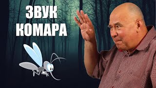 С какой частотой машет крыльями комар?