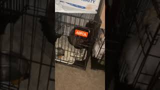 jaredatkins.ceo_1577545995_6775508448445484293.mp4