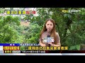 土石崩落毀5車！ 車主求償無門 還得花錢拖吊@newsebc