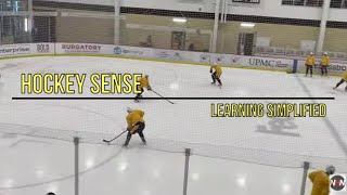 VIDEO 85: HOCKEY SENSE - Learning Simplified