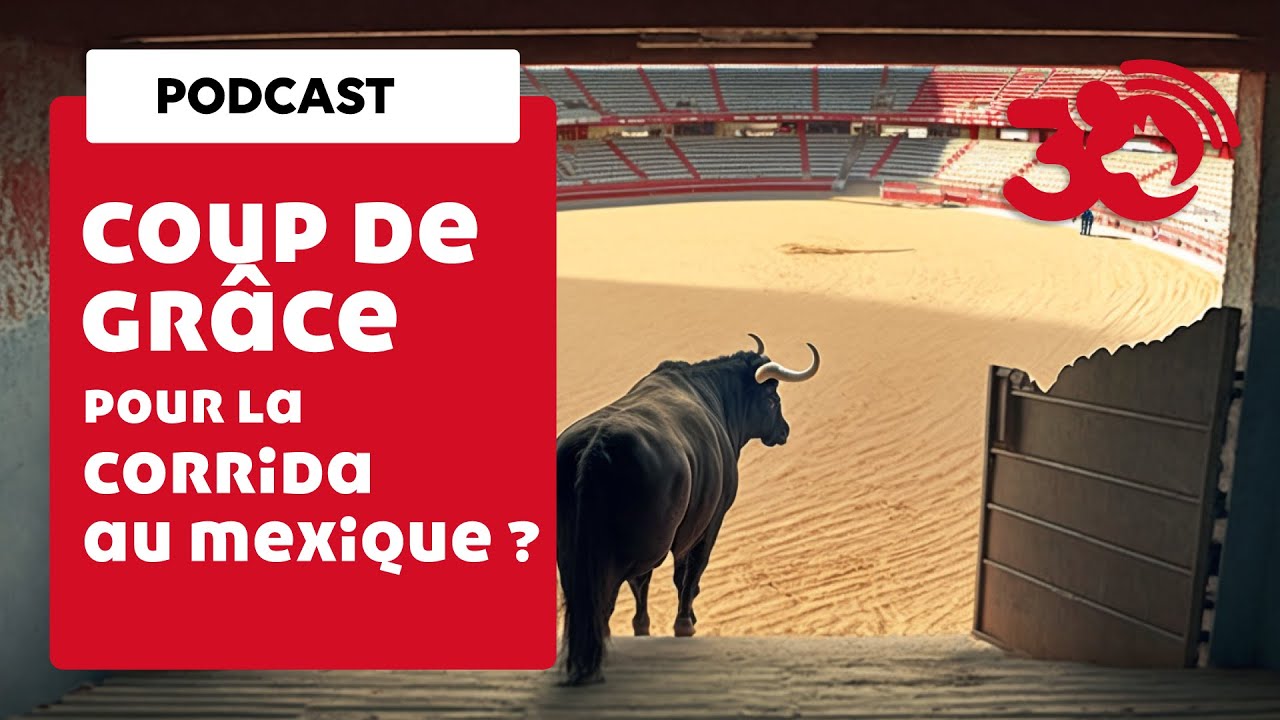 Podcast - Le vent tourne pour la corrida au Mexique