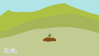 Tohumlar Fidana Fidanlar Ağaca Ağaçlar Aramaki Ye ...